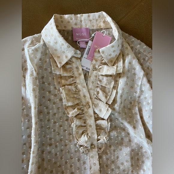 Muse Ruffled and Embroidered Blouse - Picture 3 of 8